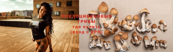 spice Абаза