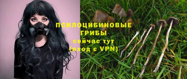spice Абаза