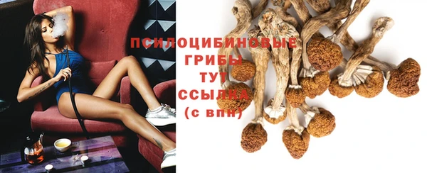 ешки Абинск
