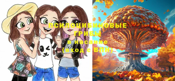 твердый Абдулино