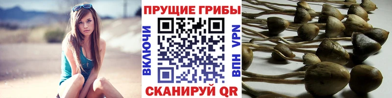 Псилоцибиновые грибы прущие грибы  Среднеколымск 